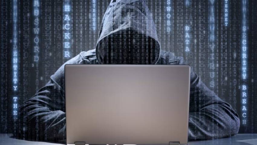 万州区小程序定制开发：.NET的利刃与暗礁